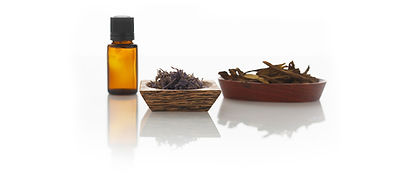 Helen Wax Spa