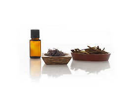 Living Healthy provides educational workshops and seminars on what essential oils are, how they work and how they can be used in your daily life.  