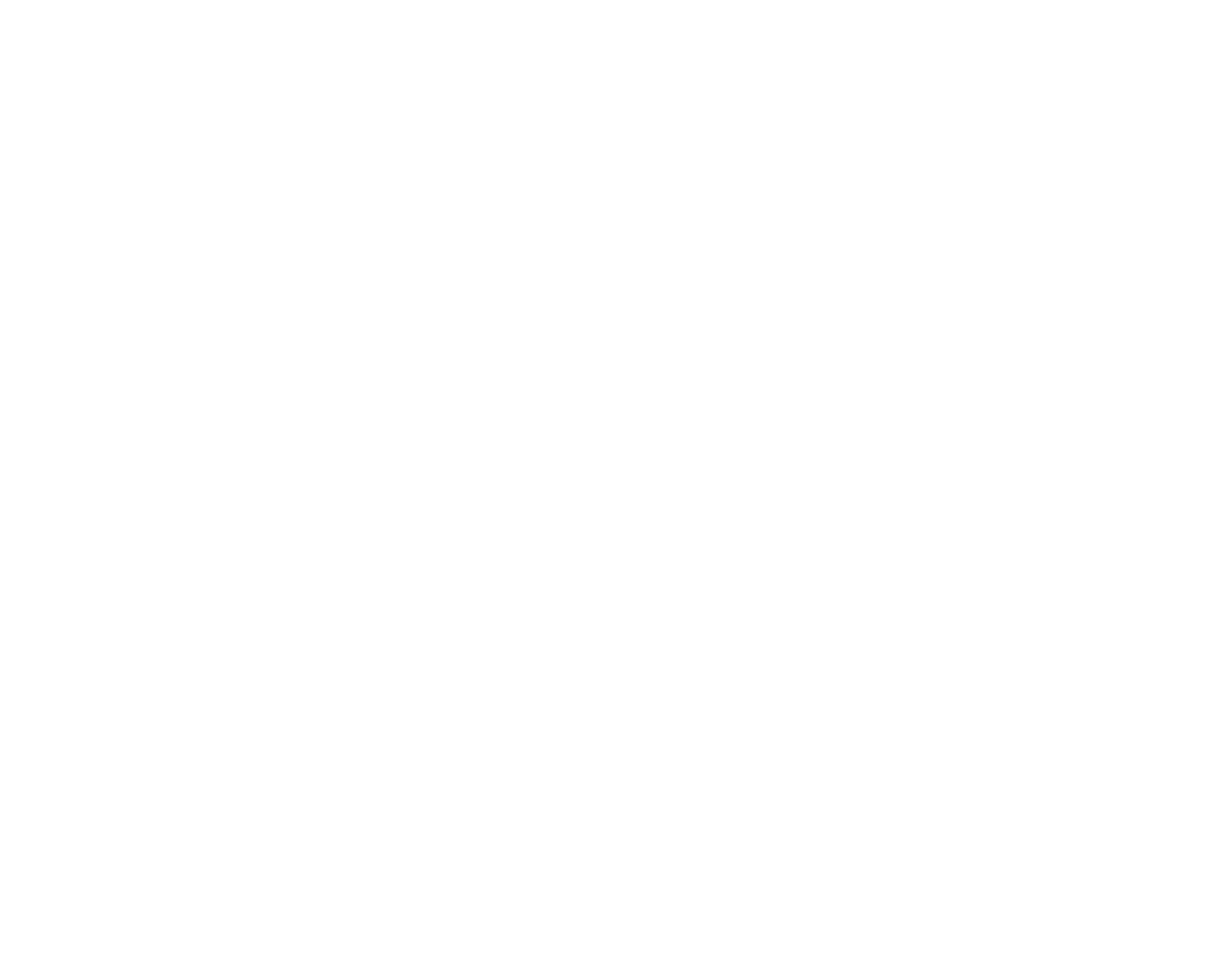 Logo (White).png
