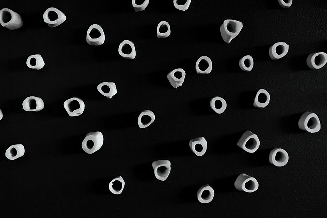 _I9A7604.jpg