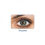 Thumbnail: Freshlook Monthly