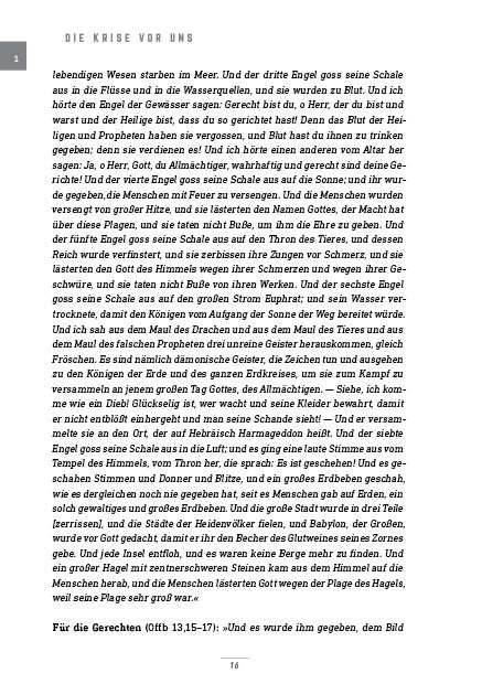 Miniaturbild: DIE KRISE VOR UNS – Fragen und Antworten zur Endzeit