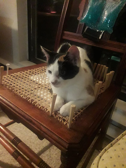 20181113_214811.jpg