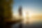 shutterstock_1122771239.jpg