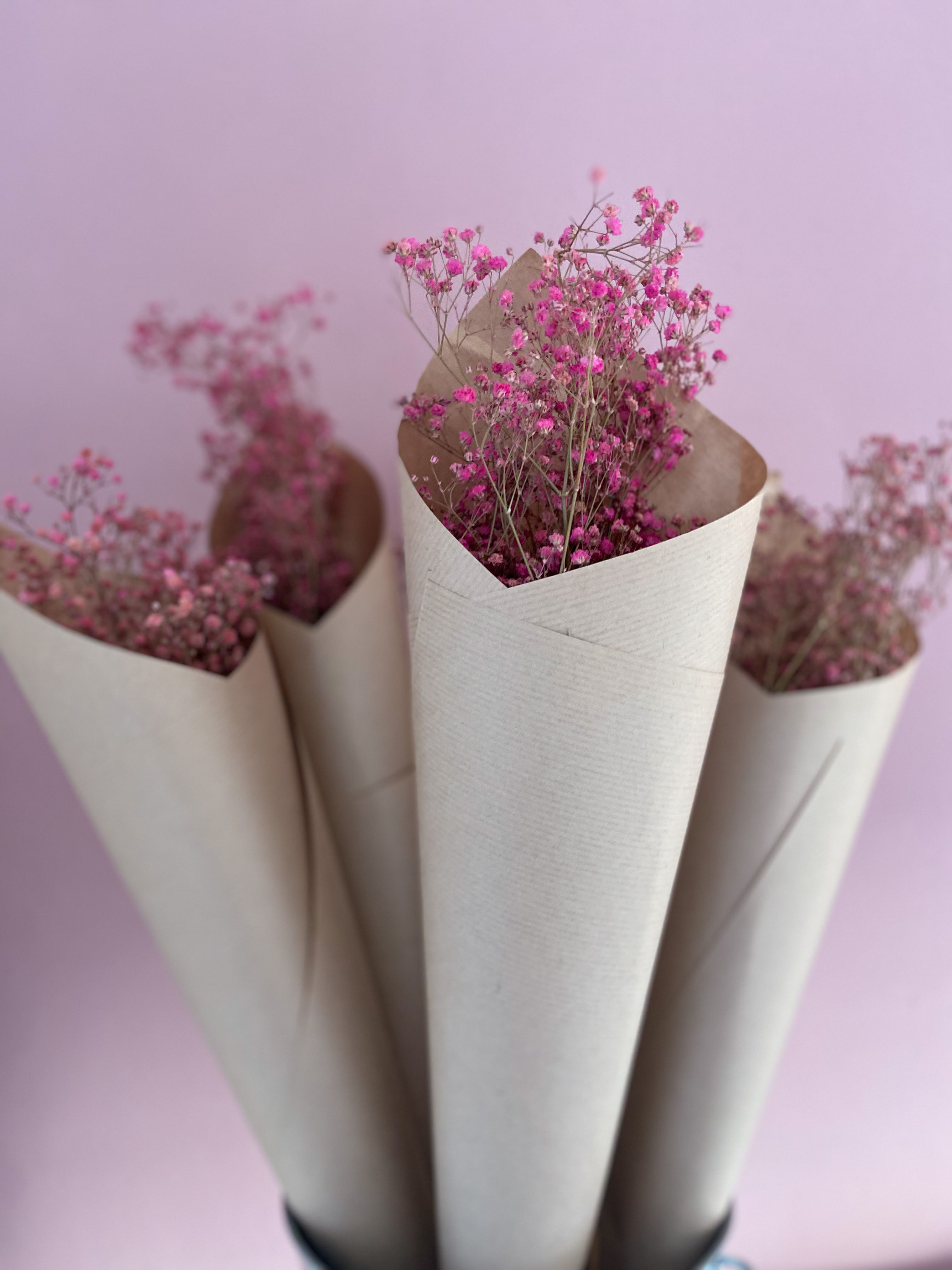 Dried Pink Gypsophila Bunch
