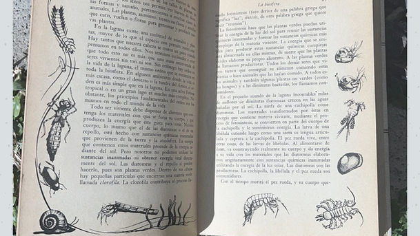 Micromundos, en contacto con la trama