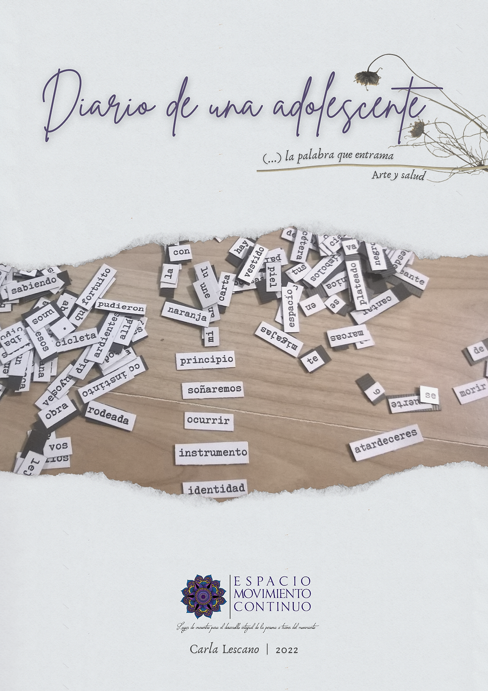 Diario de una adolescente (Bitácora personal)