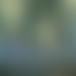 Danza Movimiento Terapia (DMT): una puerta a la integración cuerpo–mente