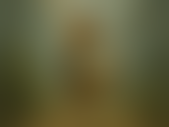 Poner en movimiento eso que late: una bitácora del cuerpo, el tiempo y lo que se va gestando