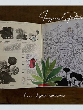 La bitácora, mindfulness y el camino del errante