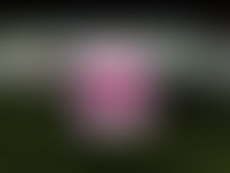 Un entre-paréntesis en lo cotidiano: lo simple que nos sostiene