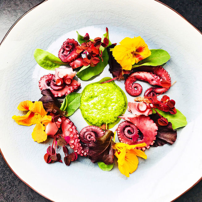Salade de poulpe au pesto de cébettes