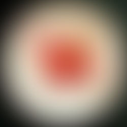 Salade de fruits rouges et litchis au jus de rhubarbe