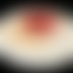 Pavlova aux fruits rouges