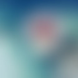 Panna cotta, brisure de sablé, chocolat, noix de pécan