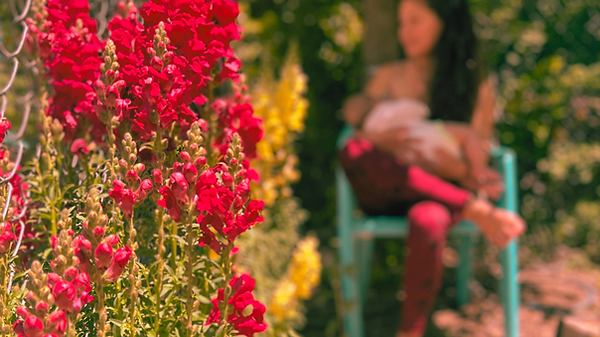 Stories Con Leche Blog Banner (1).png