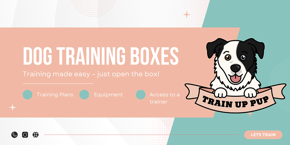 Training Treats (2).png