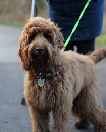 Black White Modern Minimalist Truck Logo Design (7).png