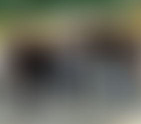 BASF volunteers at McCarthy Teszler Fall Festival