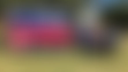 BASF Veterans group in Seneca wins national award for supporting local vets