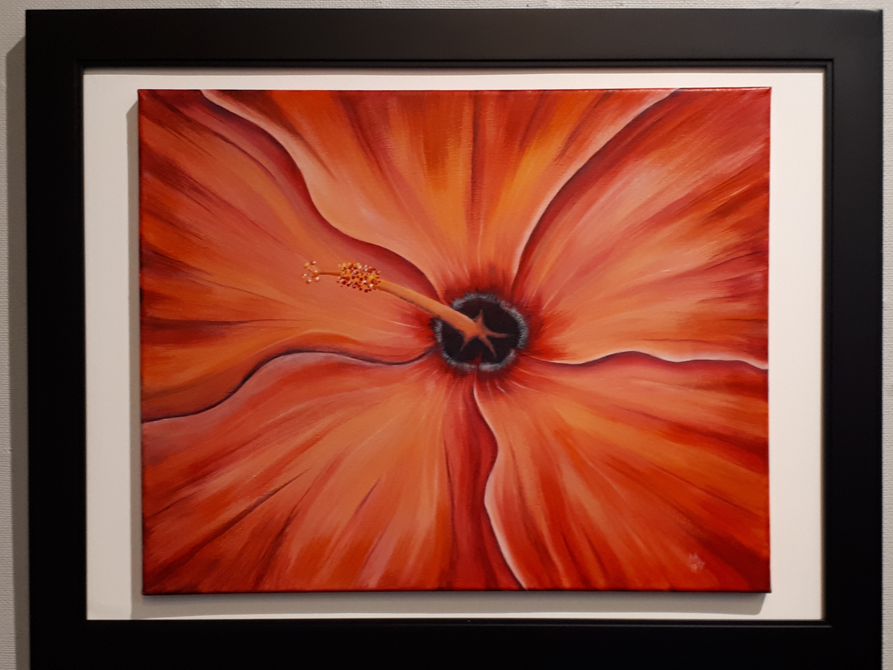 Opulent Hibiscus