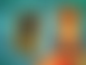 इंदौर में जिहादी मानसिकता के खिलाफ व्यापारियों का संघर्ष और उसके समाज पर प्रभाव 