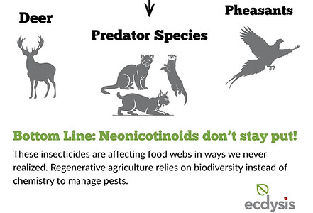 pesticides image.jpg