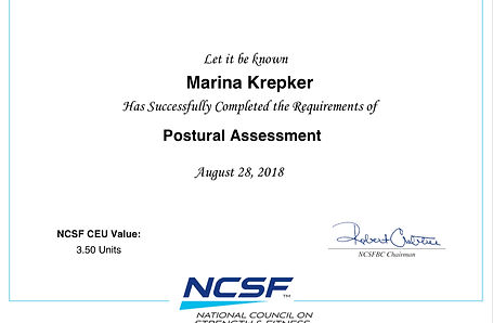 postural assessment certificate