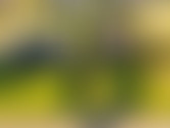 Sydney Buyer's Agent for Interstate Investors: How We Buy Across Every State From One Team