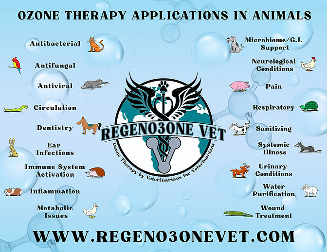 Image of ozone therapy applications in animals