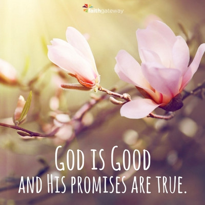 God is Good and His Promises are true