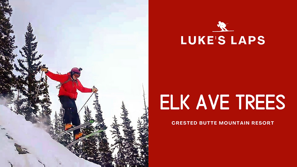 Skiing Elk Avenue Trees at Crested Butte Mountain Resort