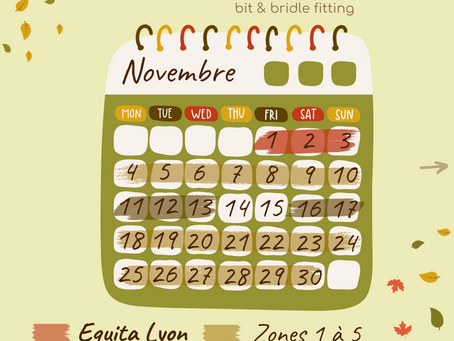 Calendrier Novembre 2024