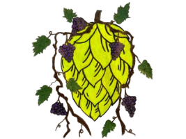 Hop & Grape | Craft Beer