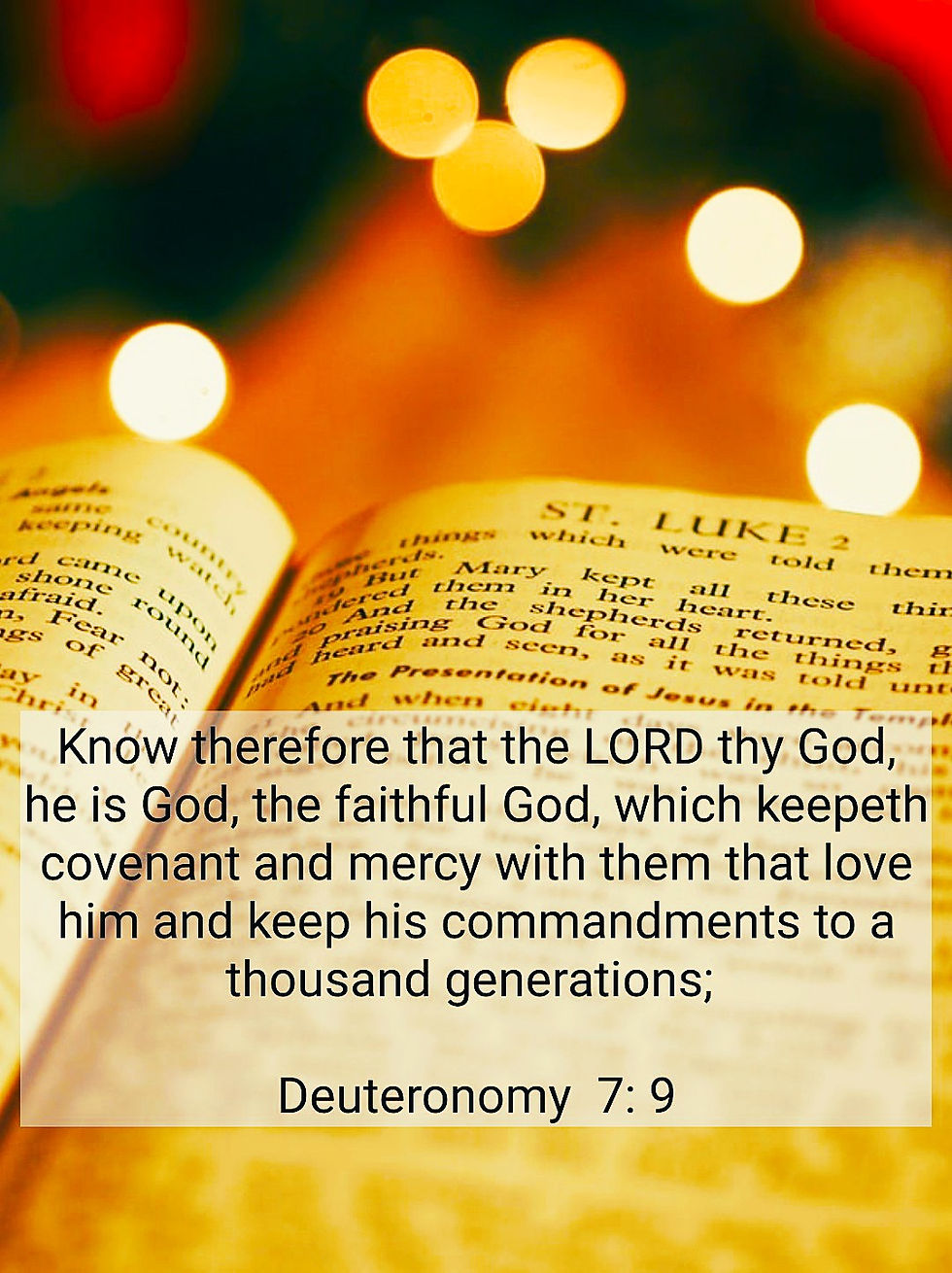 Knowing the Faithful God