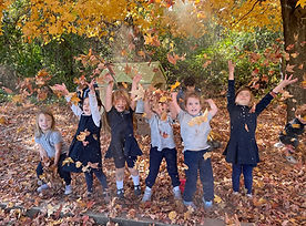 fall leaves (3).jpeg
