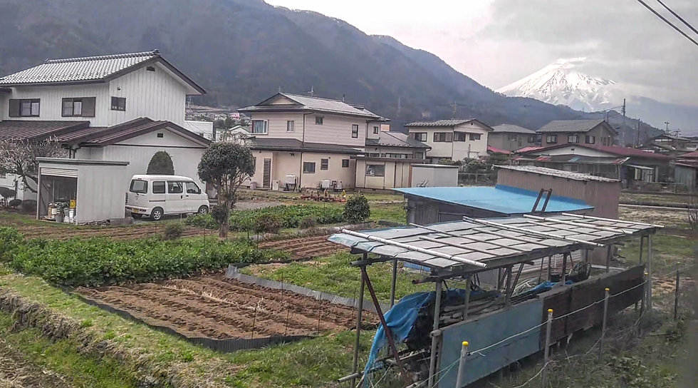 Mt. Fuji