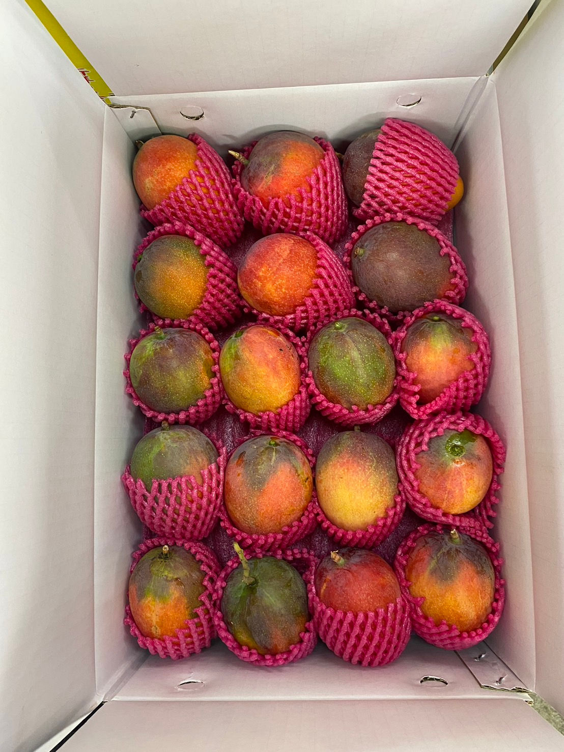 愛文芒果10斤/18顆