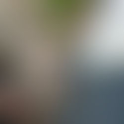 DETOXING AS A STRATEGY TO HEAL BODY AND MIND AND ACHIEVE A HEALTHY WEIGHT