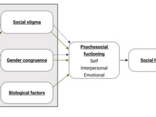 Démêler les effets biopsychosociaux de l'hormonothérapie d'affirmation de genre sur la santé sociale : Protocole d'une étude de cohorte prospective à plusieurs bras (AFFIRM Relationships)