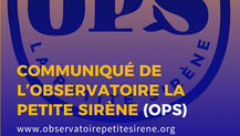 Communiqué de l’Observatoire la Petite Sirène (OPS) - 18 juillet 2025