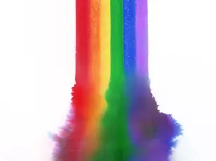 Comment le mouvement des droits des homosexuels s'est radicalisé et s'est égaré