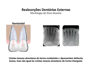 Captura_de_Tela_2019-03-25_às_10.58.22.p