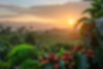 AdobeStock_796095261.jpeg