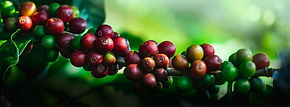 AdobeStock_265932121.jpeg