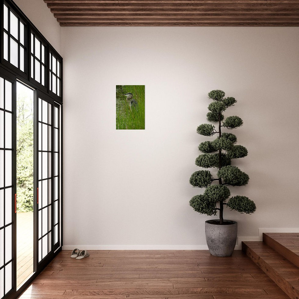 Thumbnail: Great Heron in Tall Grass Museum-Quality Matte Paper Poster