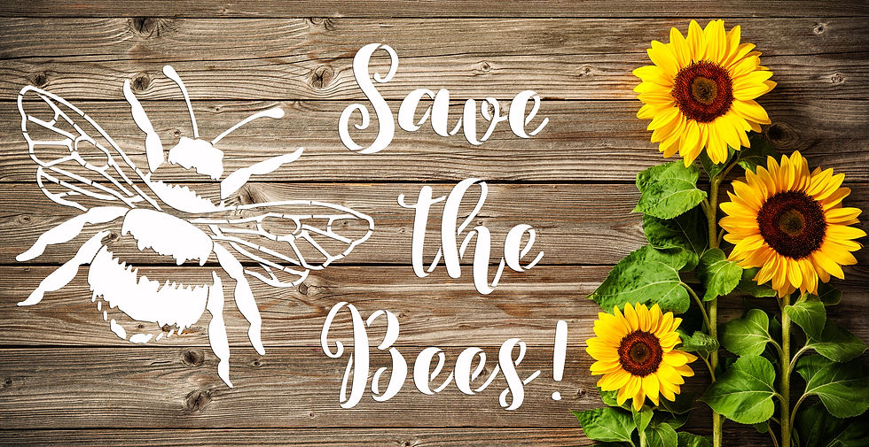 Thumbnail: Safe the Bees Stencil Phrase QU98