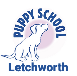Puppy Training Classes Letchworth Puppy School Reward Based