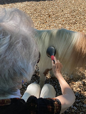 Leute helfen ihre bestehenden psychomotorischen Fähigkeiten zu erhalten und ihre Fertigkeiten so lange wie möglich zu bewahren.