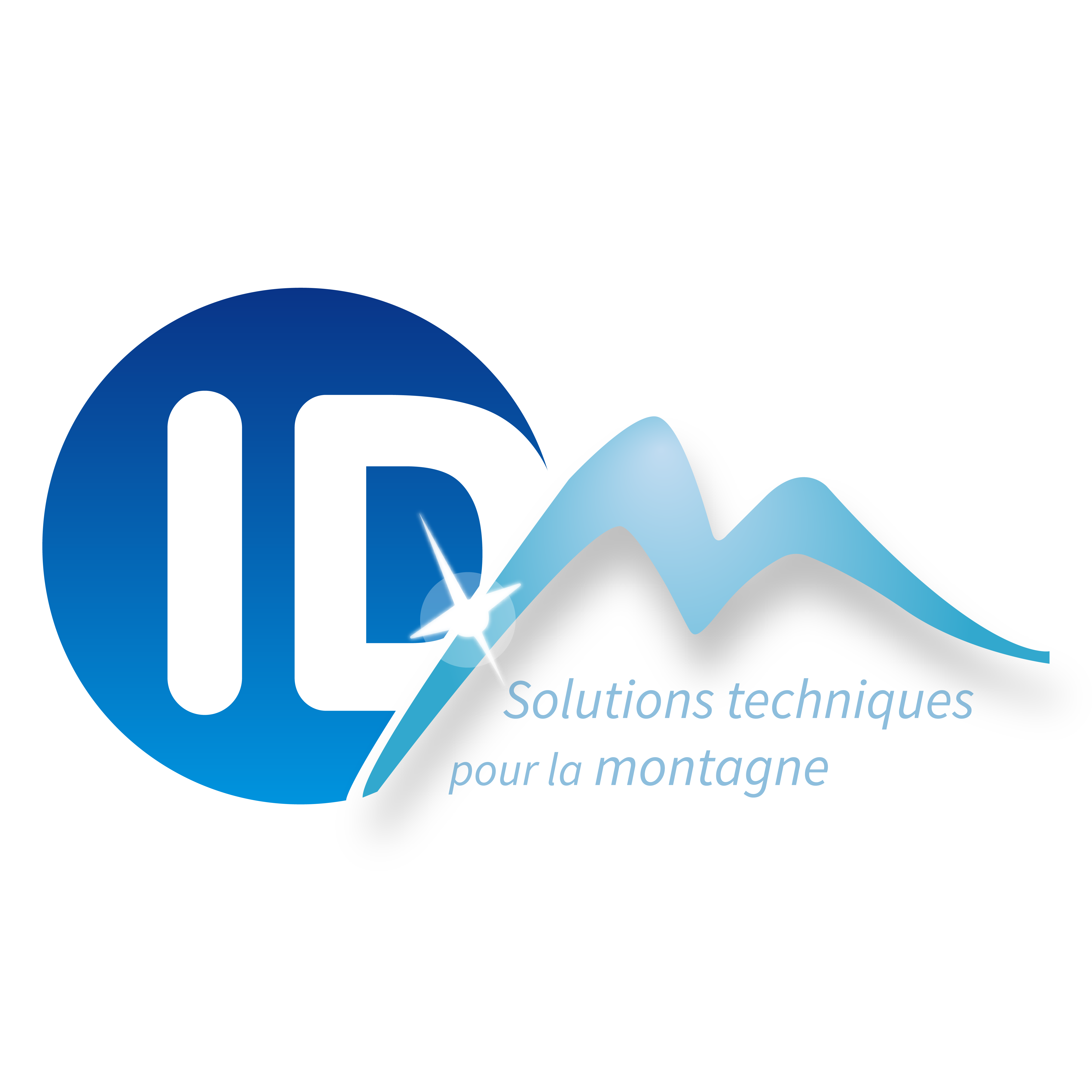 Logo histrorique IDM (2012)